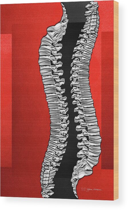 ‘memento Mori’ Collection By Serge Averbukh Wood Print featuring the digital art Memento Mori - Two Sets of Silver Human Backbones over Red and Black by Serge Averbukh