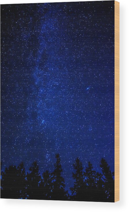 Deep Wood Print featuring the photograph Milky Way and Trees by Pelo Blanco Photo