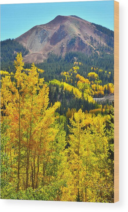 Colorado Wood Print featuring the photograph Million Dollar Highway Aspens by Ray Mathis