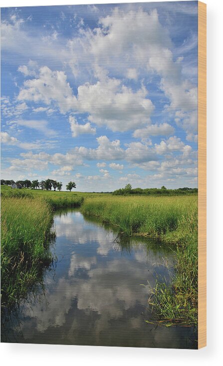 Glacial Park Wood Print featuring the photograph Mirror Image of Clouds in Glacial Park Wetland by Ray Mathis