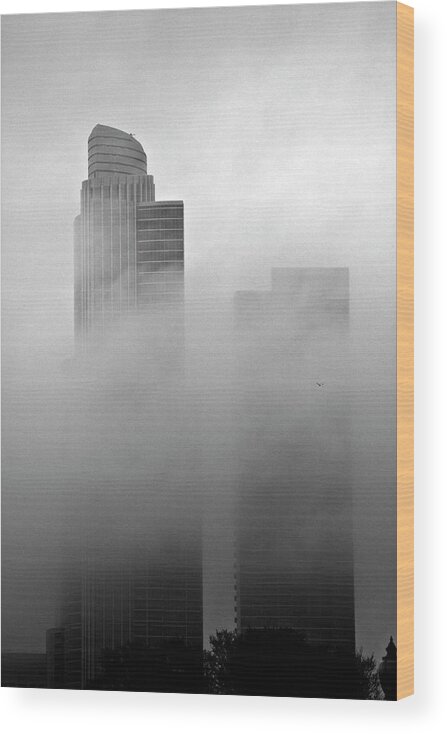 Fog Wood Print featuring the photograph Misty Morning Flight by Joseph Noonan