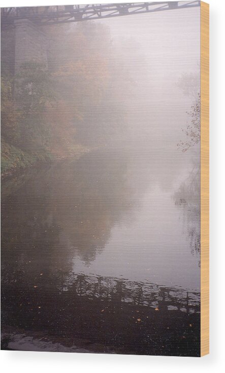 Soft Mists Wood Print featuring the photograph Misty Shadows by Emery Graham