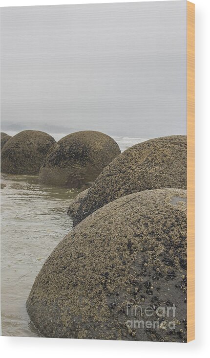 Balls Wood Print featuring the photograph Moeraki boulders New Zealand #1 by Patricia Hofmeester