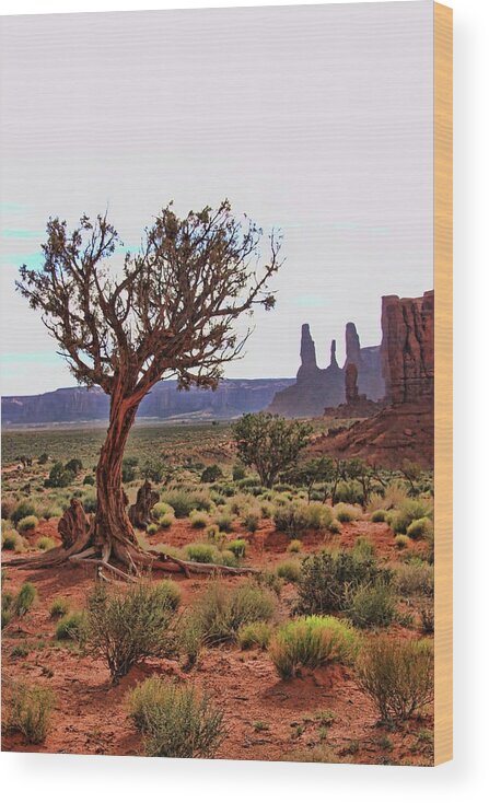 West Mitten Wood Print featuring the photograph Monument Valley 24 - Three Sisters # 2 by Allen Beatty