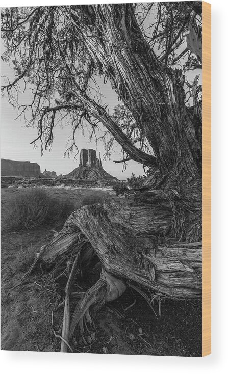 American Out West Wood Print featuring the photograph Monument Valley Looking through the Tree 2 by John McGraw