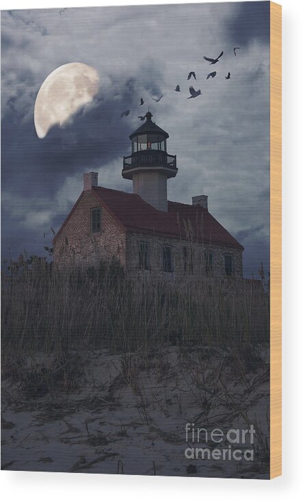 Lighthouse Wood Print featuring the photograph Moonlight at East Point by Debra Fedchin