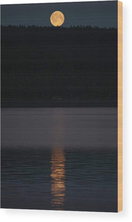 Moonrise Wood Print featuring the photograph Moonrise over Syerminjarga by Pekka Sammallahti