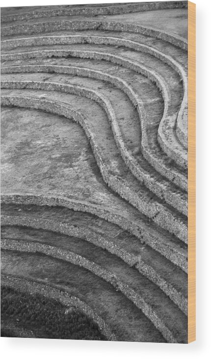 Moray Wood Print featuring the photograph Moray lines by Marcus Best