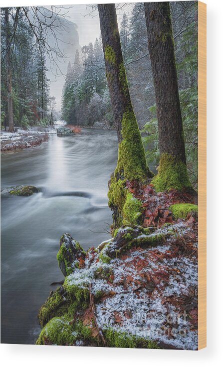 Yosemite Wood Print featuring the photograph Morning Calm by Anthony Michael Bonafede