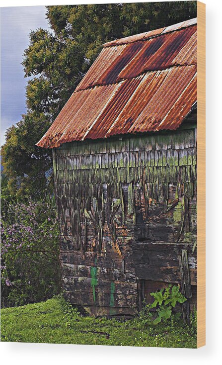 Moss Wood Print featuring the photograph Moss Covered House-St Lucia by Chester Williams