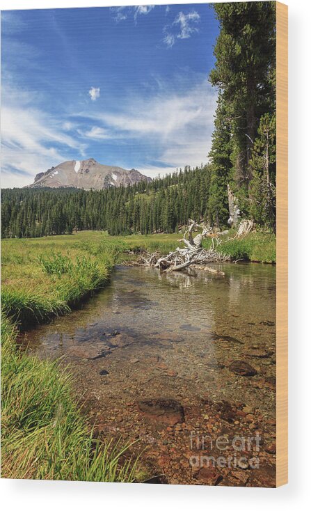 Mount Lassen Wood Print featuring the photograph Mount Lassen From Kings Creek by James Eddy