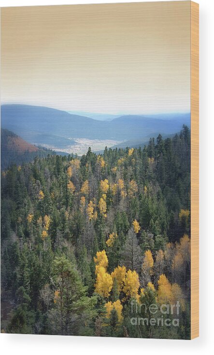 Forest Wood Print featuring the photograph Mountains and Valley by Jill Battaglia
