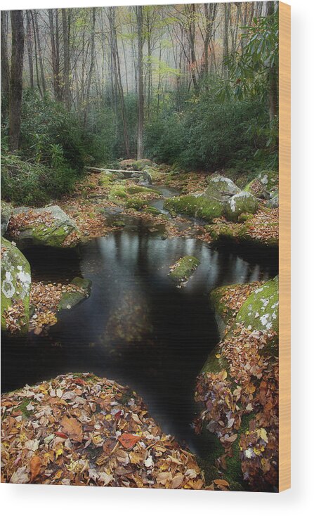 Stream Wood Print featuring the photograph Moving Towards The Season's End by Mike Eingle