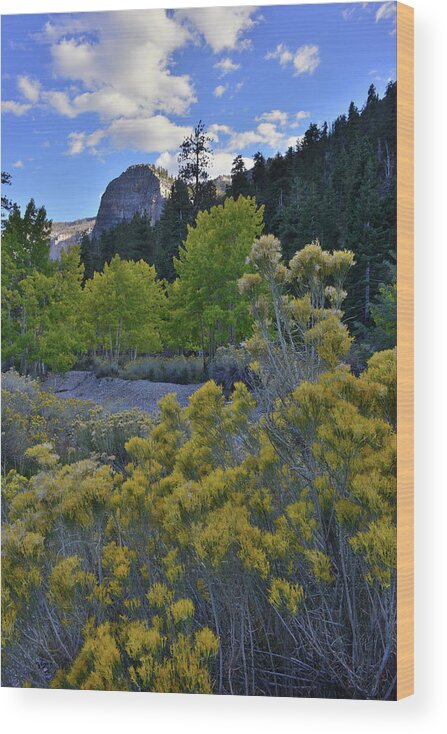 Nevada Wood Print featuring the photograph Mt. Charleston Basin near Las Vegas by Ray Mathis