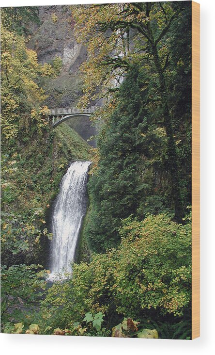 Multnomah Wood Print featuring the photograph Multnomah Falls 3 by DArcy Evans