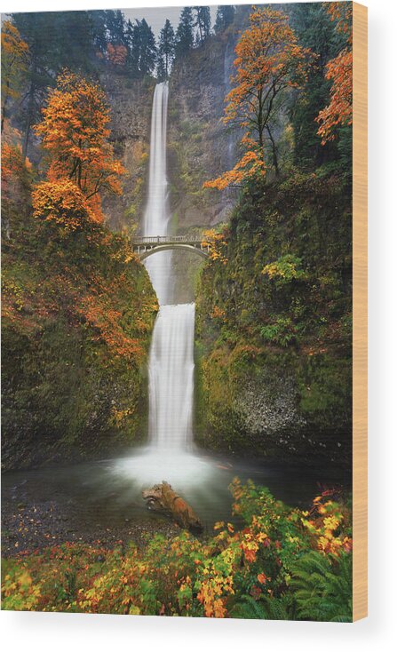 Oregon Wood Print featuring the photograph Multnomah Falls in Autumn colors by William Lee