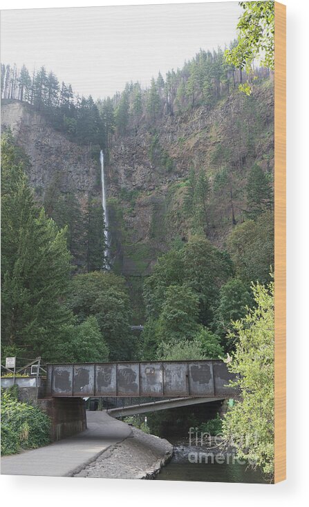 Wingsdomain Wood Print featuring the photograph Multnomah Falls in the Columbia River Gorge in Oregon DSC6505 by Wingsdomain Art and Photography