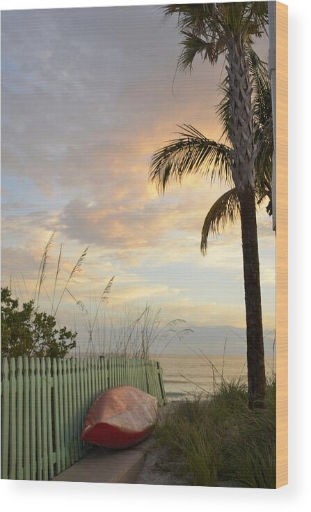 Palm Tree Wood Print featuring the photograph My Favorite Place by Alison Belsan Horton
