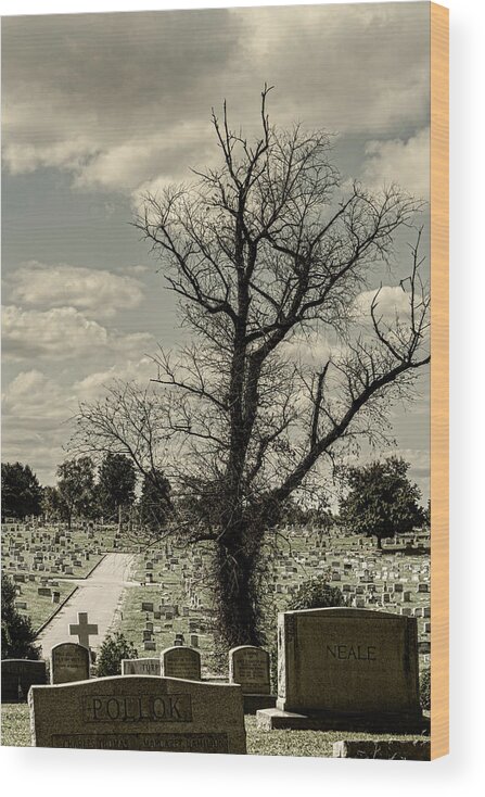 Hollywood Cemetery Wood Print featuring the photograph My Grave Kingdom by Sharon Popek