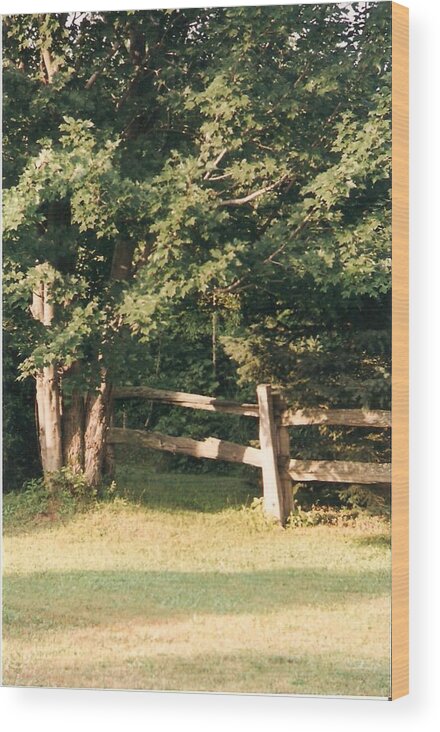 Trees Wood Print featuring the photograph My Quiet Corner - Photograph by Jackie Mueller-Jones