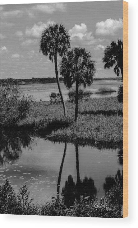  Wood Print featuring the photograph Myakka River Reflections by Susan Molnar