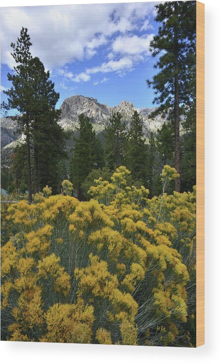 Humboldt-toiyabe National Forest Wood Print featuring the photograph Natural Area Beneath Mt. Charleston by Ray Mathis