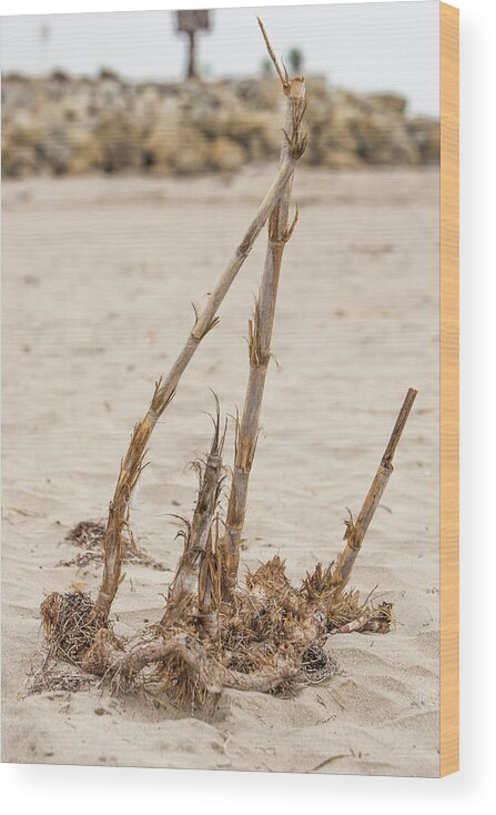 Sea Wood Print featuring the photograph Natures beach art by Jason Hughes