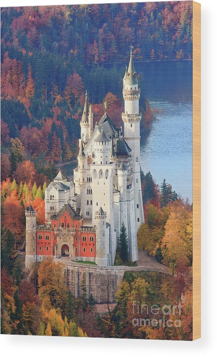 Germany Wood Print featuring the photograph Neuschwanstein - Germany by Henk Meijer Photography