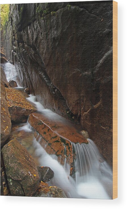 Flume Gorge Wood Print featuring the photograph New Hampshire Flume Gorge by Juergen Roth