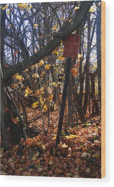  Wood Print featuring the photograph No Parking by Melissa Newcomb