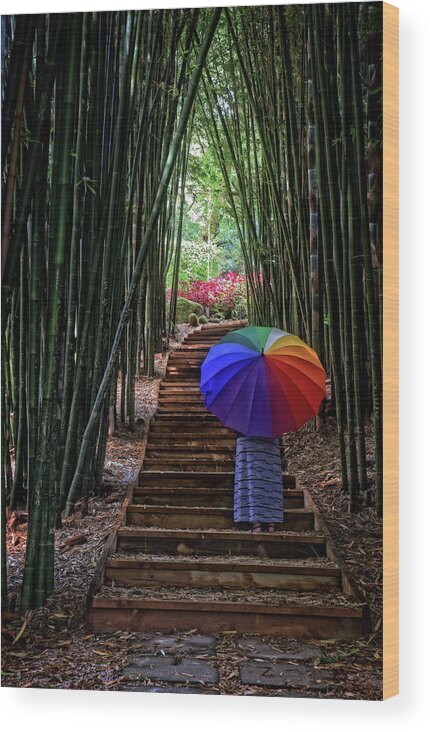 Bamboo Wood Print featuring the photograph Oasis by Catherine Reading