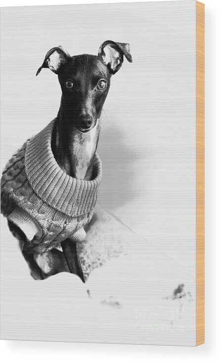 Editorial Wood Print featuring the photograph Oh Those Eyes Black and White 4 by Angela Rath