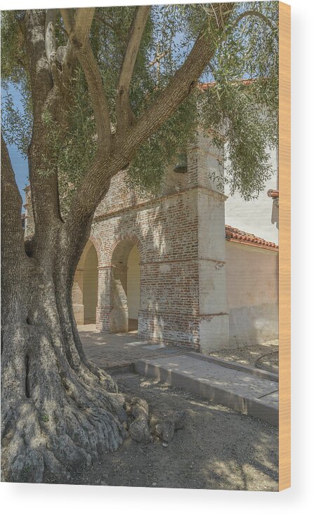 Mission San Antonio De Padua Wood Print featuring the photograph Olive Tree and Mission by Alexander Kunz