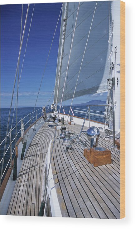 On Board Wood Print featuring the photograph On Deck off Mexico by David J Shuler