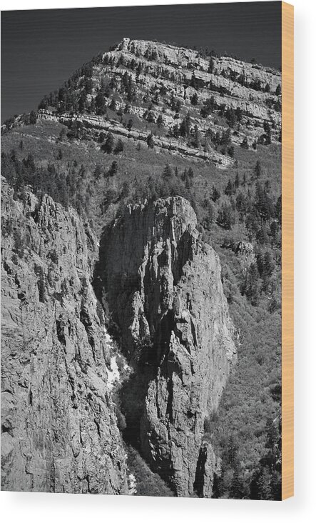 Landscape Wood Print featuring the photograph On Sandia Mountain by Ron Cline