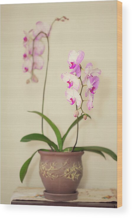 Orchids Wood Print featuring the photograph Orchids on Sideboard by Susan Gary