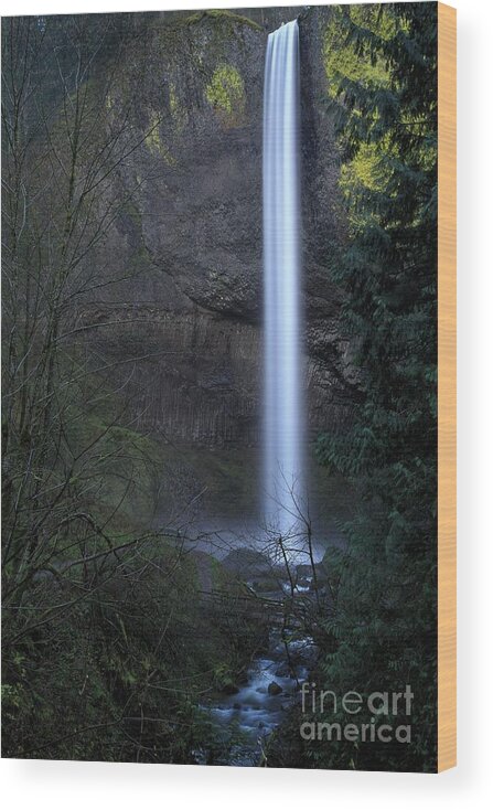 Latourell Falls Wood Print featuring the photograph Oregon Latourell Falls by Adam Jewell