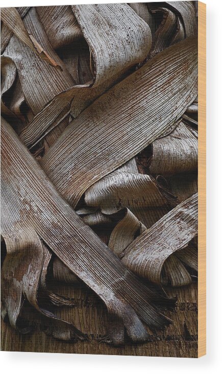 Bark Wood Print featuring the photograph Paper Bark by Murray Bloom