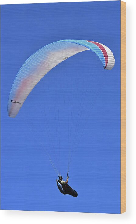 Paragliding Wood Print featuring the photograph Paragliding No. 279-1 by Sandy Taylor