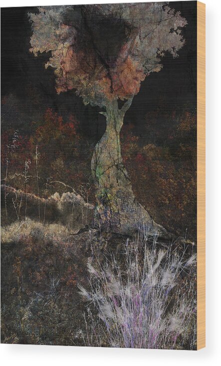 Tree Wood Print featuring the photograph Pastoria - Sisters by Ed Hall