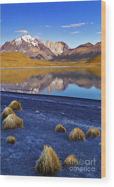  Wood Print featuring the photograph Patagonia 06 by Bernardo Galmarini