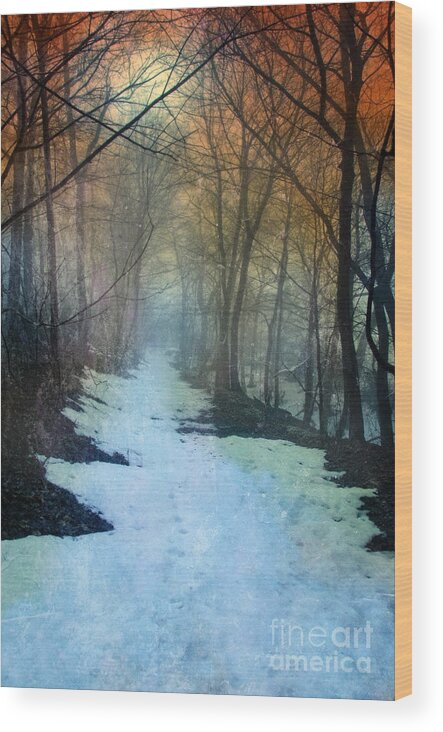 Path Wood Print featuring the photograph Path Through the Woods in Winter at Sunset by Jill Battaglia