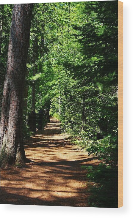 Pathe Wood Print featuring the photograph Pathway to Peacefulness by Bruce Bley