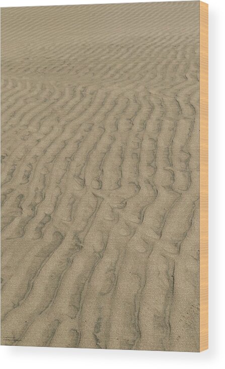 Sand Wood Print featuring the photograph Pathways by Hany J