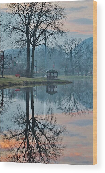 Hudson Valley Landscapes Wood Print featuring the photograph Pecks Pond Morning by Thomas McGuire