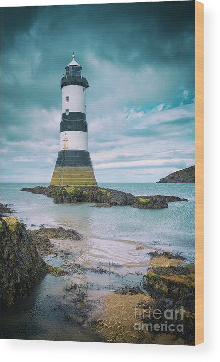 Lighthouse Wood Print featuring the photograph Penmon Point by David Lichtneker