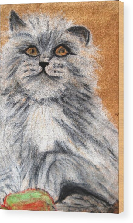 White And Grey Persian Cat Wood Print featuring the mixed media Persian Cat by Angela Murray