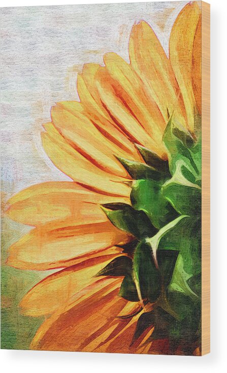 Sunflower Wood Print featuring the painting Petals of Paint by Holly Ethan