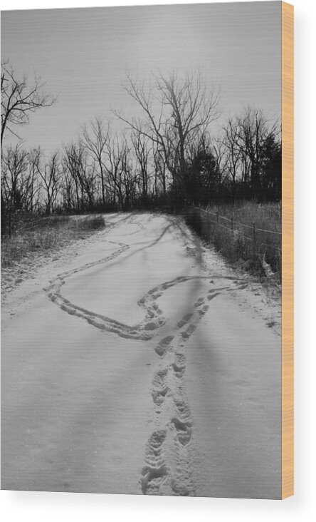 Winter Wood Print featuring the photograph Photographer's Path... by Thomas Gorman