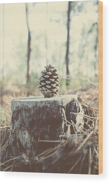 Pine Cone Wood Print featuring the photograph Pine Cone by Marco Oliveira